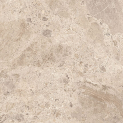 Керамический гранит  ERA BLOOM. TAUPE NAT R120X120