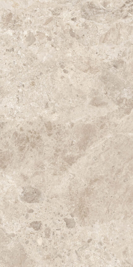 Керамогранит ERA BLOOM. BEIGE NAT R60X120